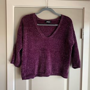 Express Purple Vneck Sweater